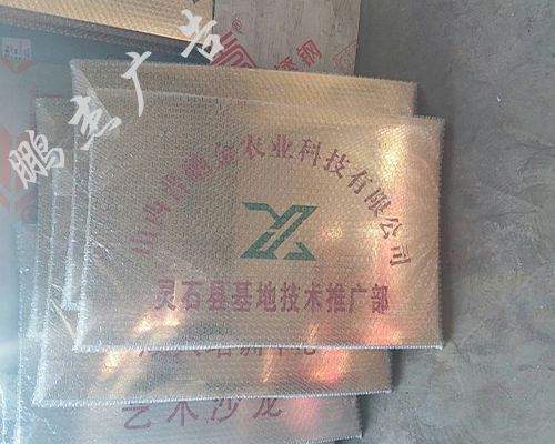 铜牌